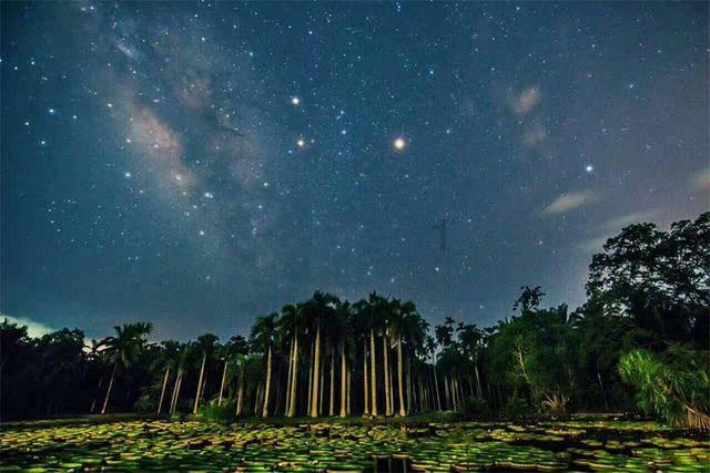 小行星撞击地球，导致了陆地生物的灭绝，为什么海洋生物也没能幸免？