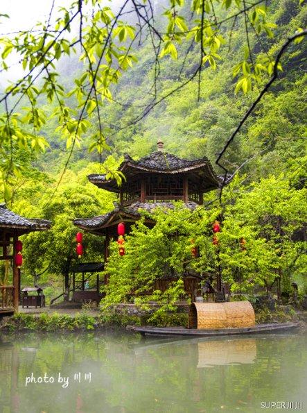 动物帮帮忙保卫家园